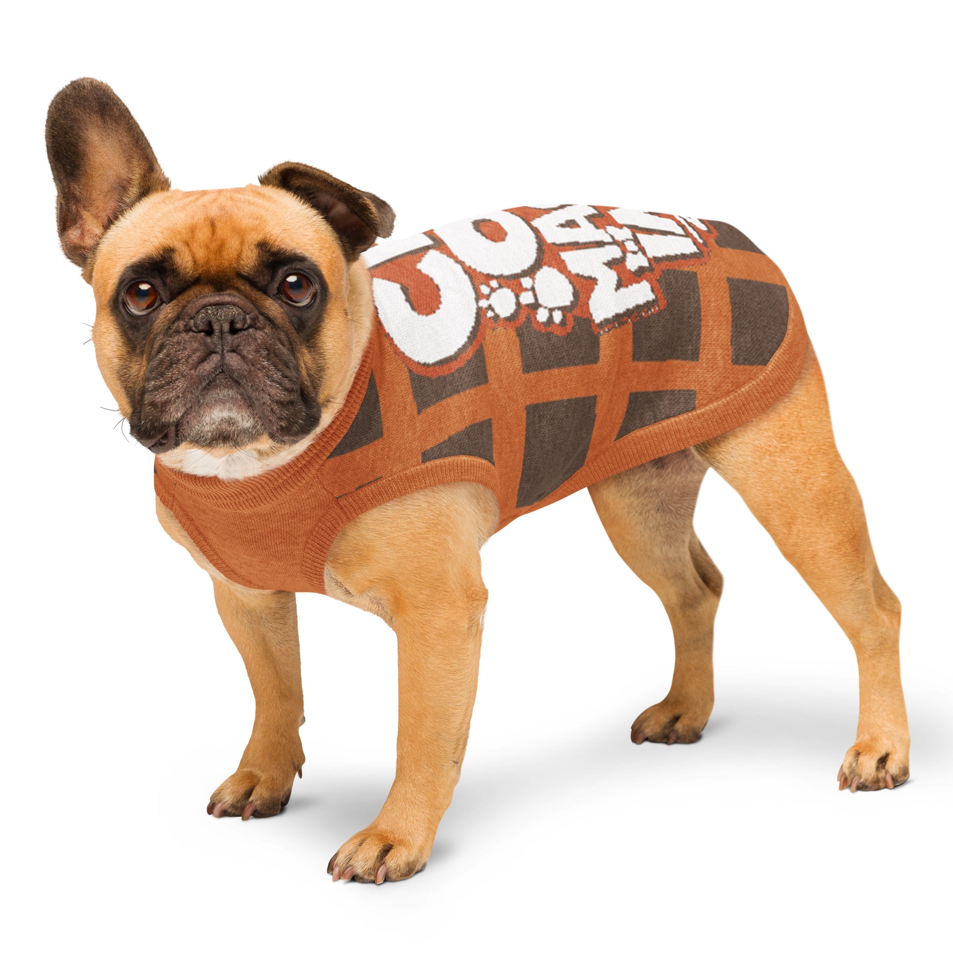 Masha and the Bear Friends Chaos Machine Knitted pet sweater M KNITWEAR