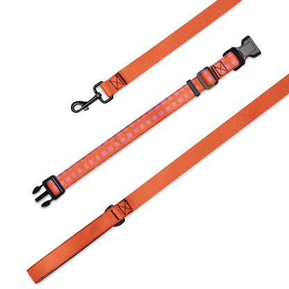Masha and the Bear Friends Chaos Machine Pet collar & leash L CUT-SEW
