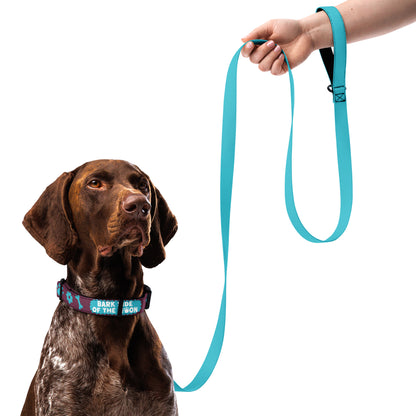 Masha and the Bear Friends Bark Side of the Moon Pet collar & leash L CUT-SEW