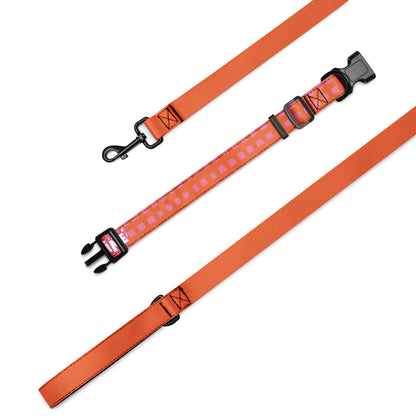 Masha and the Bear Friends Chaos Machine Pet collar & leash M CUT-SEW