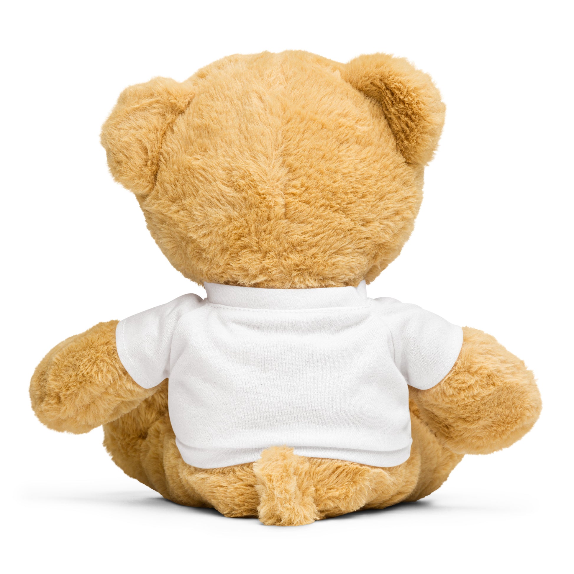 Masha and the Bear Friends Lunar Horse Teddy bear with a t-shirt SUBLIMATION