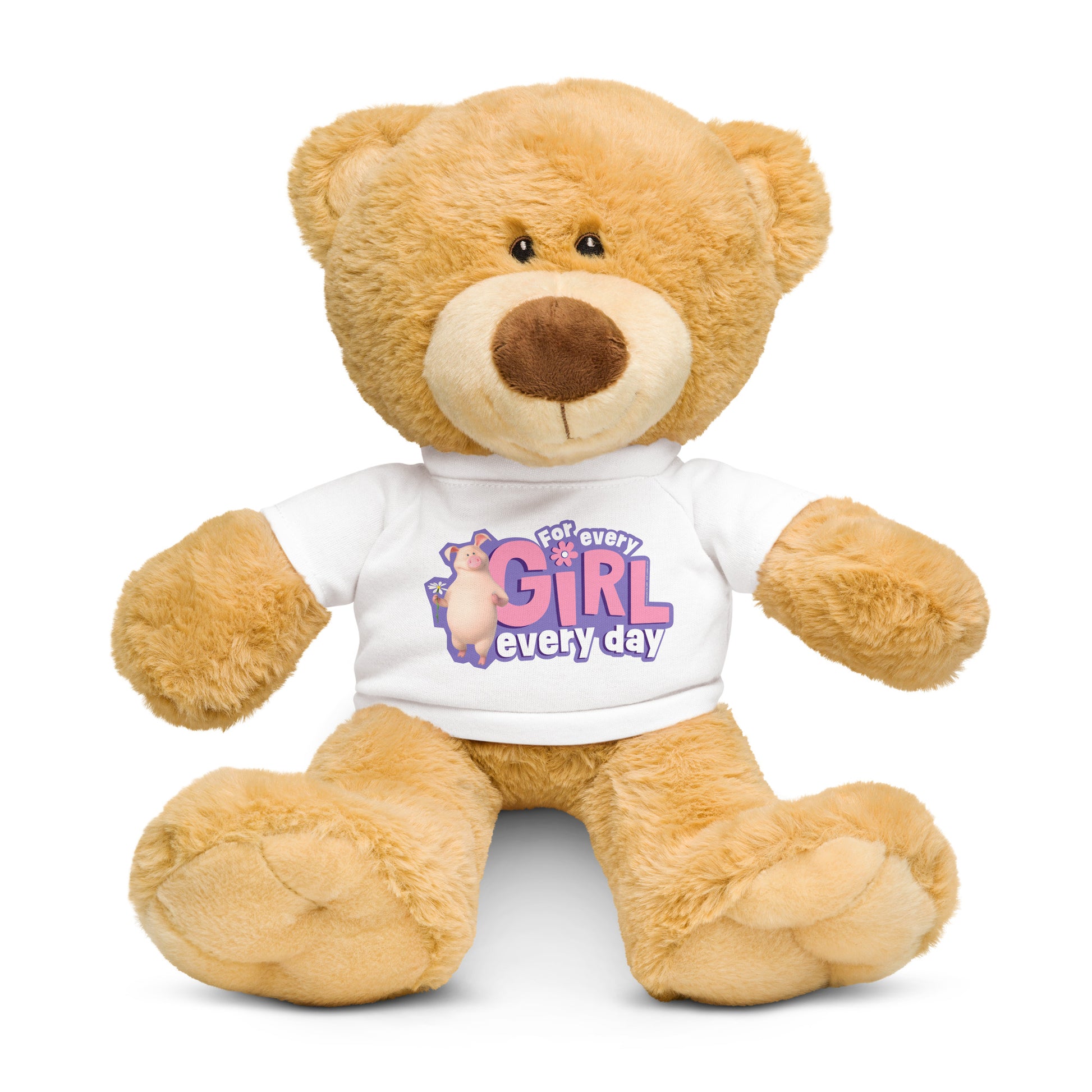 Masha and the Bear Friends For Her Teddy bear with a t-shirt Default Title SUBLIMATION