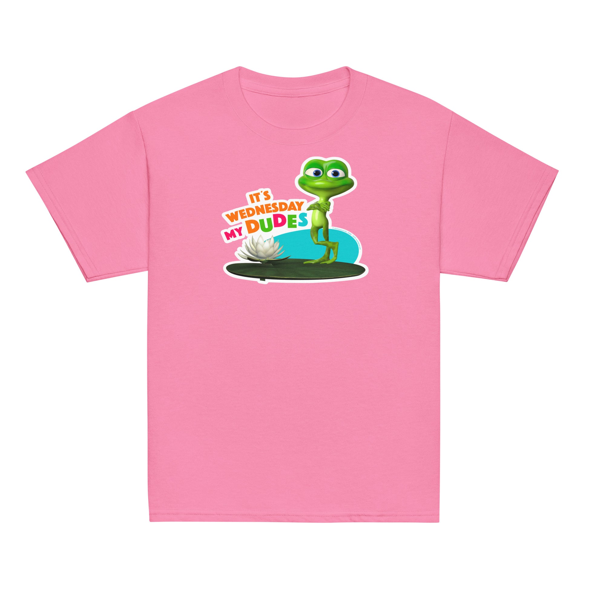 Masha and the Bear Friends Wednesday My Dudes Youth classic tee Azalea T-SHIRT