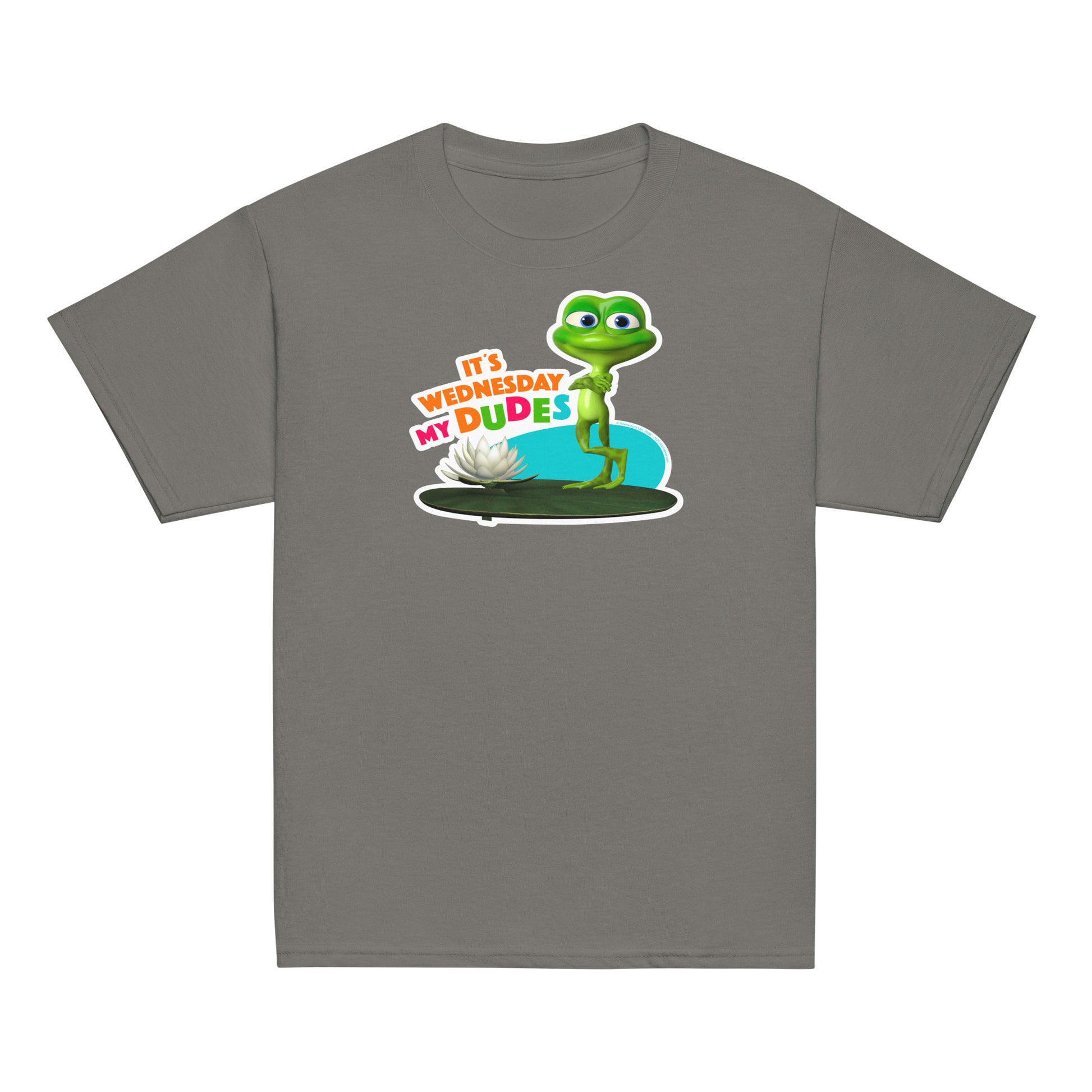 Masha and the Bear Friends Wednesday My Dudes Youth classic tee Charcoal T-SHIRT