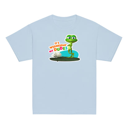 Masha and the Bear Friends Wednesday My Dudes Youth classic tee Light Blue T-SHIRT
