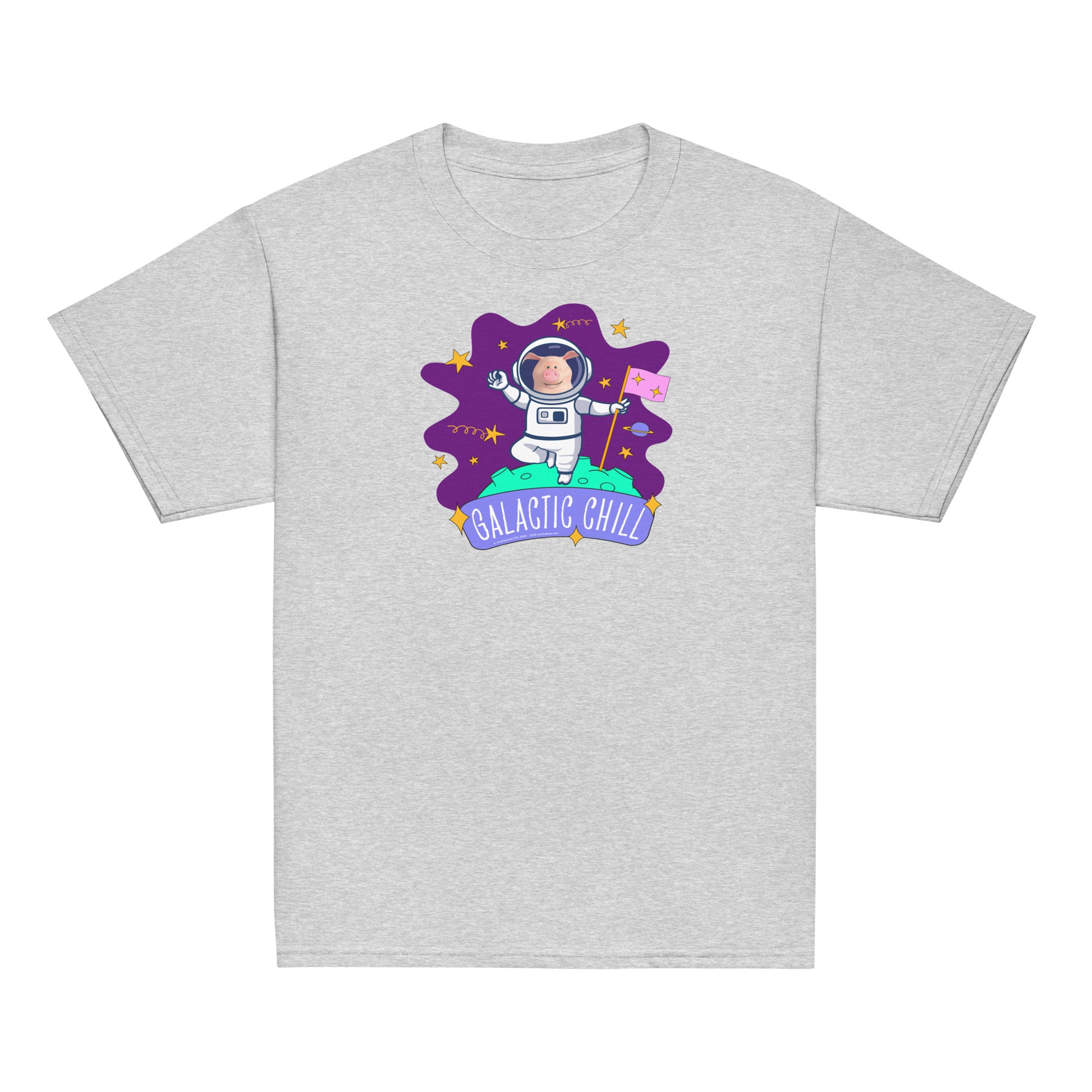 Masha and the Bear Friends Galactic Chill Youth classic tee Sport Grey T-SHIRT