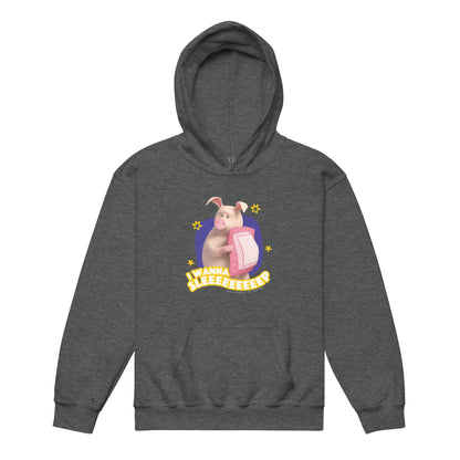 Masha and the Bear Friends I Wanna Sleep Youth heavy blend hoodie Dark Heather T-SHIRT
